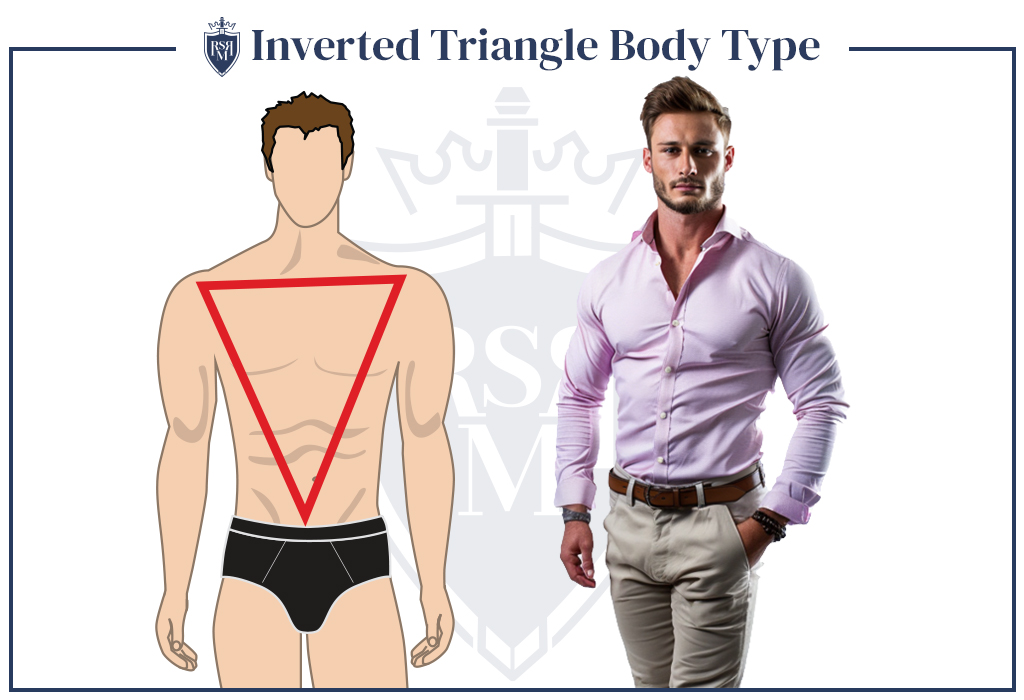 infographic inverted triangle male body type